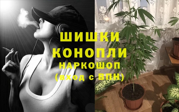 прущий лед Рославль