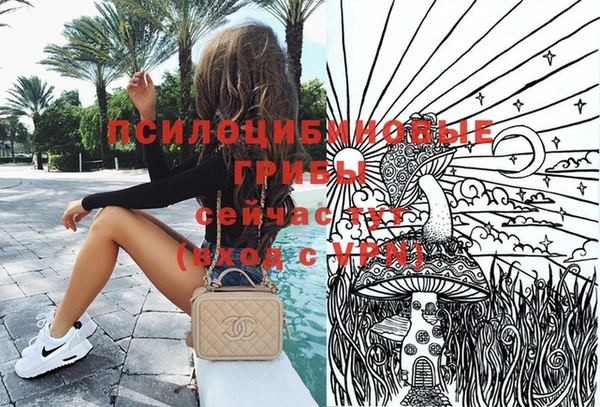 прущий лед Рославль